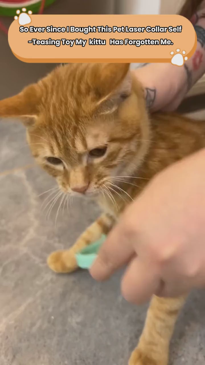 Pet Laser Collar Self Teasing Toy